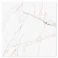 Marmor Klinker Magnifica Vit Blank 120x120 cm 7 Preview